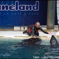 Marineland - Orques - Spectacle - 14h45 - 0797