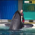 Marineland - Orques - Spectacle - 14h45 - 0802