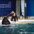 Marineland - Orques - Spectacle - 14h45 - 0803