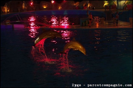 Marineland - Dauphins - Spectacle Nocturne - 0910