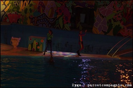 Marineland - Dauphins - Spectacle Nocturne - 0912