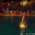 Marineland - Dauphins - Spectacle Nocturne - 0913