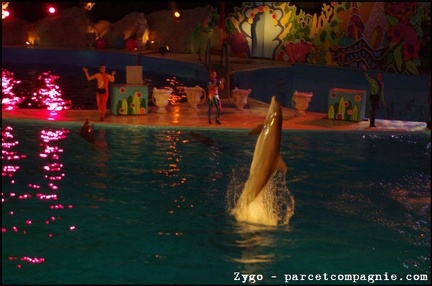 Marineland - Dauphins - Spectacle Nocturne - 0913