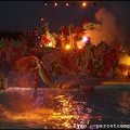 Marineland - Dauphins - Spectacle Nocturne - 0915