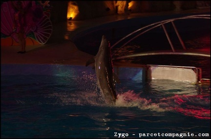 Marineland - Dauphins - Spectacle Nocturne - 0918