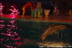 Marineland - Dauphins - Spectacle Nocturne - 0922