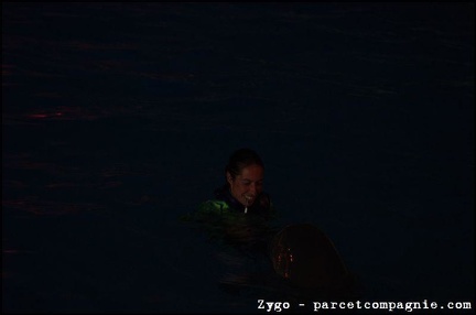 Marineland - Dauphins - Spectacle Nocturne - 0930
