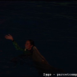 Marineland - Dauphins - Spectacle Nocturne