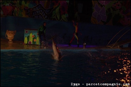 Marineland - Dauphins - Spectacle Nocturne - 0936