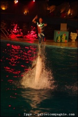 Marineland - Dauphins - Spectacle Nocturne - 0982