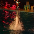 Marineland - Dauphins - Spectacle Nocturne - 0982