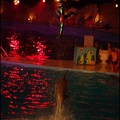 Marineland - Dauphins - Spectacle Nocturne - 0985