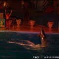 Marineland - Dauphins - Spectacle Nocturne - 0986