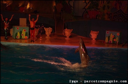 Marineland - Dauphins - Spectacle Nocturne - 0986