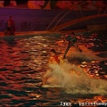 Marineland - Dauphins - Spectacle Nocturne - 0990