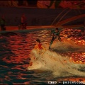 Marineland - Dauphins - Spectacle Nocturne - 0991