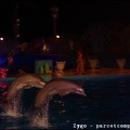 Marineland - Dauphins - Spectacle Nocturne - 1284