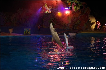 Marineland - Dauphins - Spectacle Nocturne - 1286