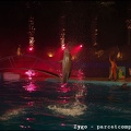 Marineland - Dauphins - Spectacle Nocturne - 1291