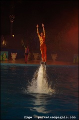 Marineland - Dauphins - Spectacle Nocturne - 1294