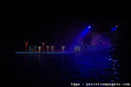 Marineland - Dauphins - Spectacle Nocturne - 1298