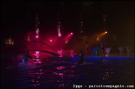 Marineland - Dauphins - Spectacle Nocturne - 1300