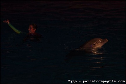 Marineland - Dauphins - Spectacle Nocturne - 1317