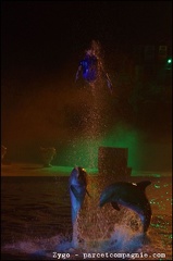 Marineland - Dauphins - Spectacle Nocturne - 1366