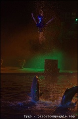 Marineland - Dauphins - Spectacle Nocturne - 1368
