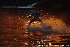Marineland - Dauphins - Spectacle Nocturne - 1375