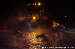 Marineland - Dauphins - Spectacle Nocturne - 1377