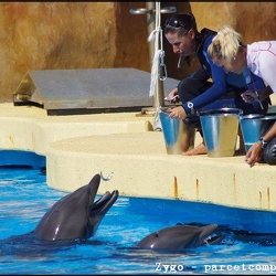 Marineland - Lagoon - Dauphins - avec Justine