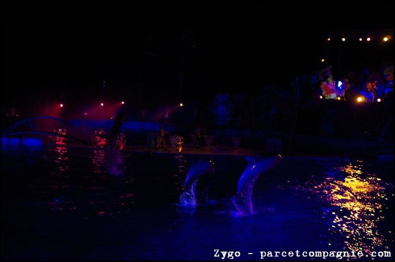 Marineland - Dauphins - Spectacle nocturne - 1523