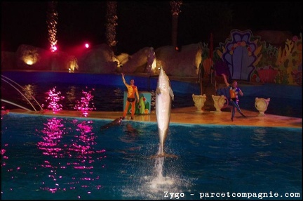 Marineland - Dauphins - Spectacle nocturne - 1524