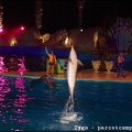 Marineland - Dauphins - Spectacle nocturne - 1525