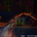 Marineland - Dauphins - Spectacle nocturne - 1527