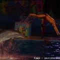 Marineland - Dauphins - Spectacle nocturne - 1528
