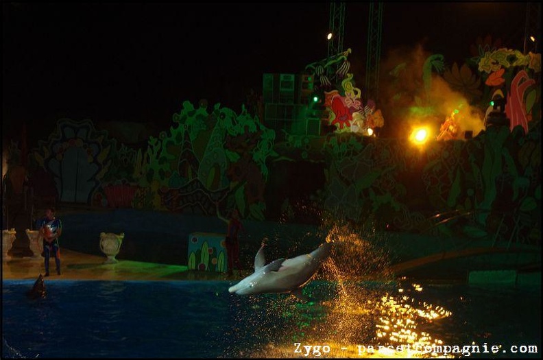 Marineland - Dauphins - Spectacle nocturne - 1529