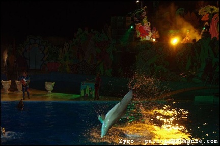 Marineland - Dauphins - Spectacle nocturne - 1530