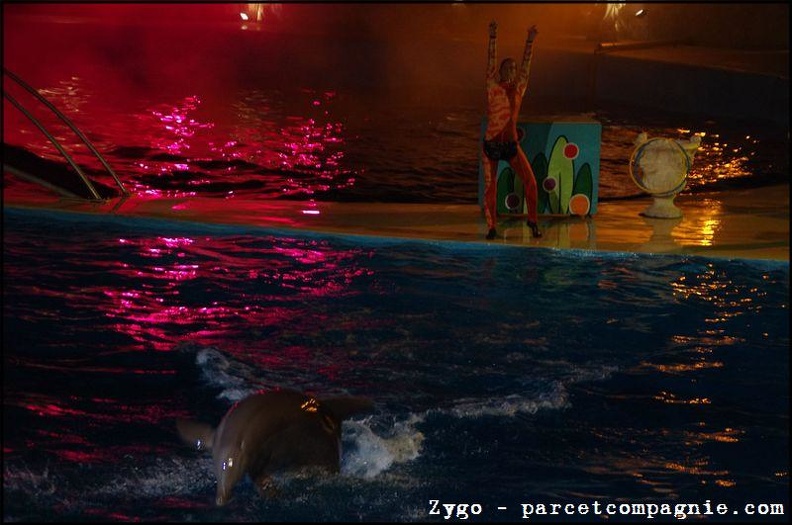 Marineland - Dauphins - Spectacle nocturne - 1535