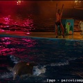 Marineland - Dauphins - Spectacle nocturne - 1535