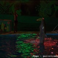 Marineland - Dauphins - Spectacle nocturne - 1536