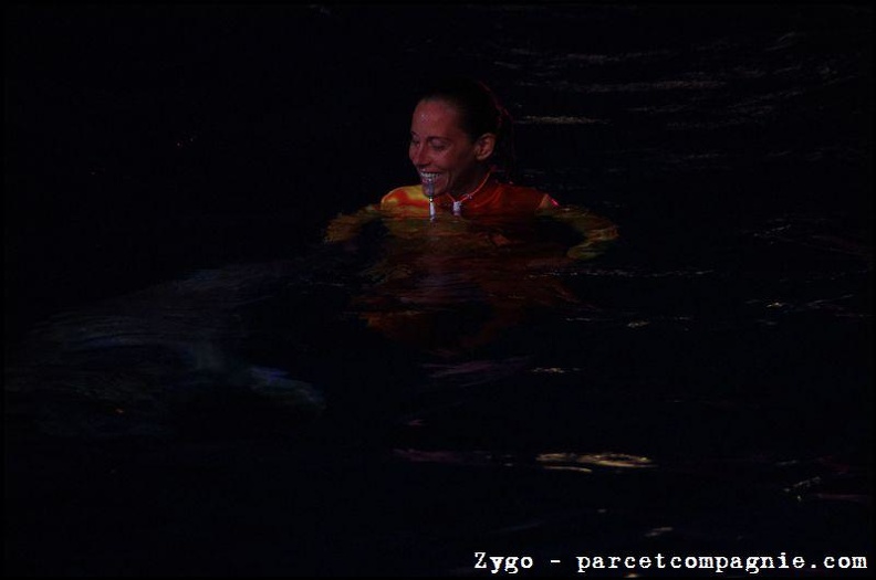 Marineland - Dauphins - Spectacle nocturne - 1537