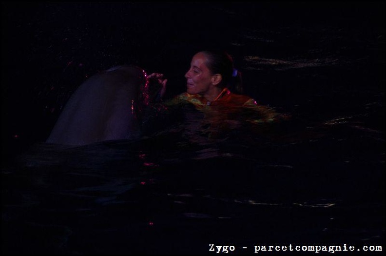 Marineland - Dauphins - Spectacle nocturne - 1538