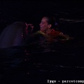 Marineland - Dauphins - Spectacle nocturne - 1538