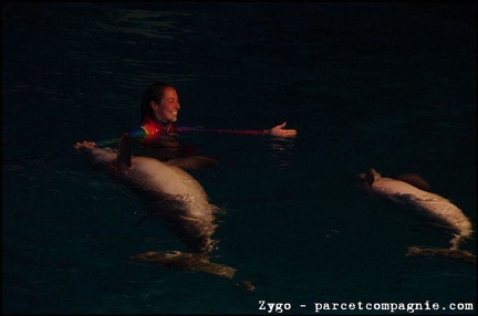 Marineland - Dauphins - Spectacle nocturne - 1543