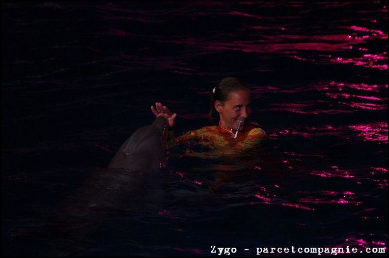 Marineland - Dauphins - Spectacle nocturne - 1544