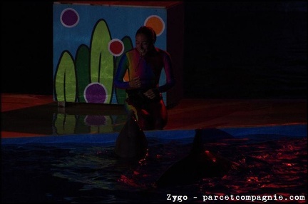 Marineland - Dauphins - Spectacle nocturne - 1545