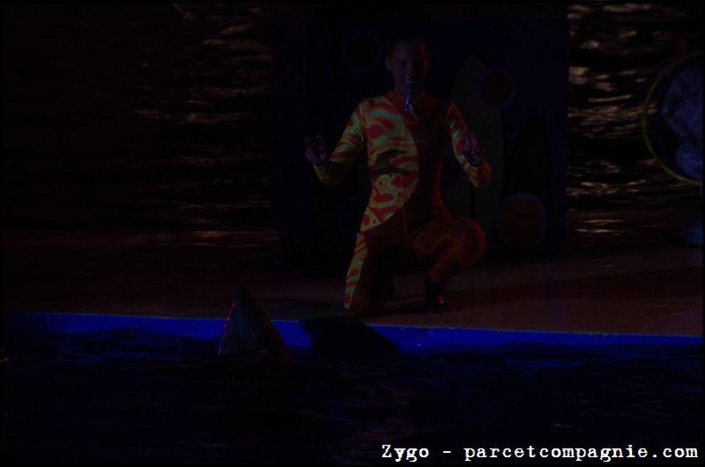 Marineland - Dauphins - Spectacle nocturne - 1546
