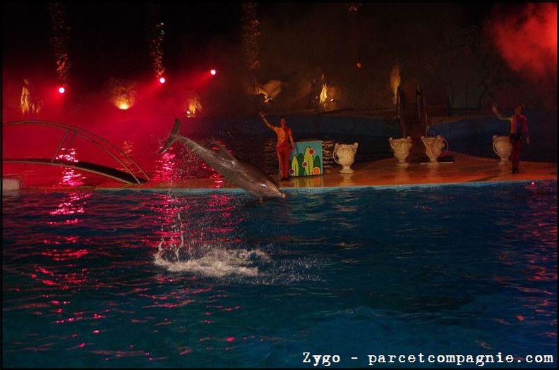 Marineland - Dauphins - Spectacle nocturne - 1551